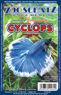 Oczlik