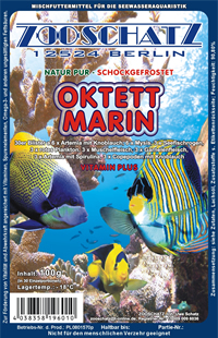 Oktet