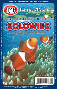 Solowiec