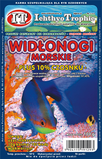 Widonogi czosnek