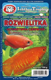 Rozwielitka intensywna czerwie