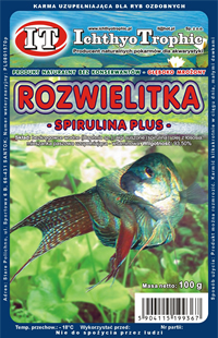 Rozwielitka spirulina plus
