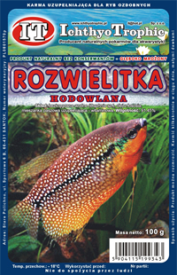 Rozwielitka hodowlana
