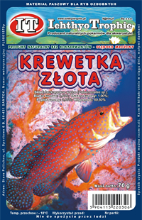 Krewetka zota