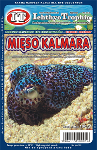 Miso kalmara