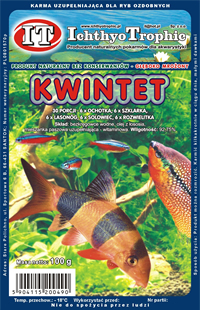 Kwintet