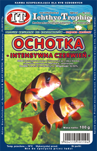 Ochotka intensywna czerwie