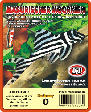 MASURISCHES MOORKIENHOLZ